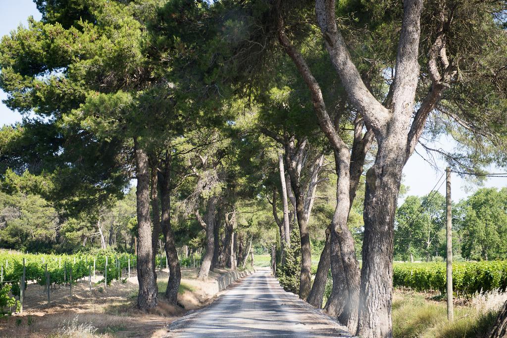 Château Canet Villa Rustiques Exterior foto