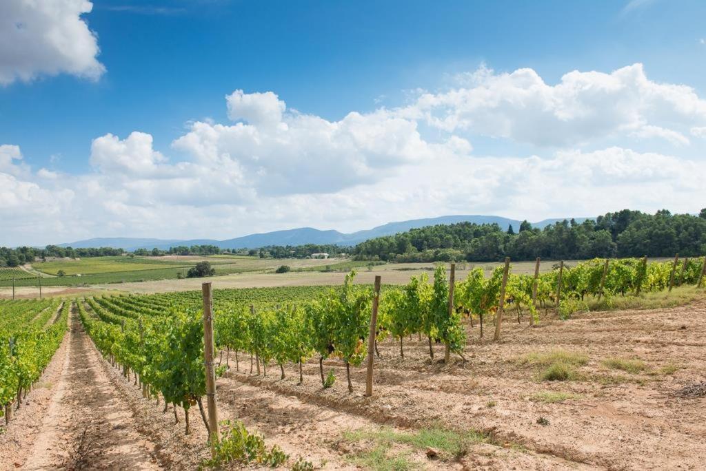 Château Canet Villa Rustiques Exterior foto